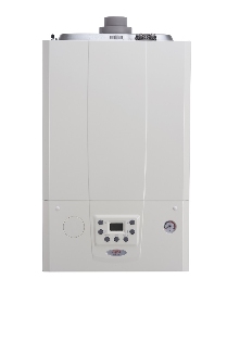 Alpha ETEC System Boilers