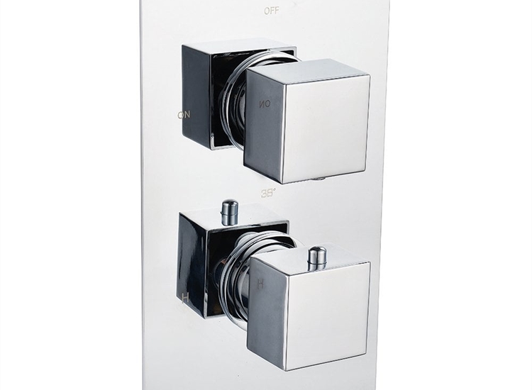 Ebony Square Twin Thermostatic Shower Valve with 2 Outlets (controls 2 functions)