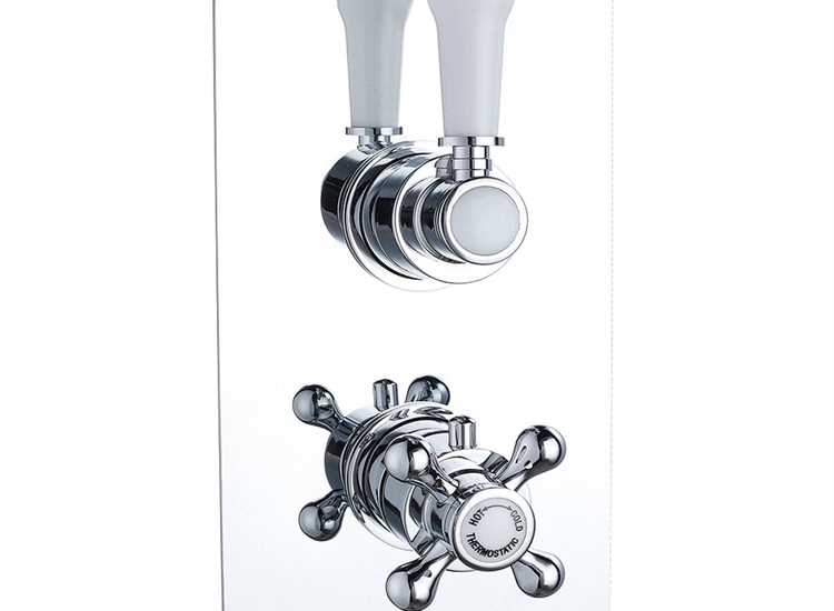 Ebony Traditional Twin Thermostatic Shower Valve with 1 Outlet (controls 1 function)