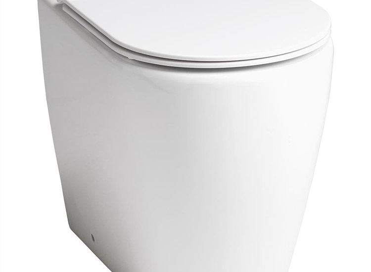 Roma Rimless Comfort Back-to-Wall Pan & Soft Close Seat