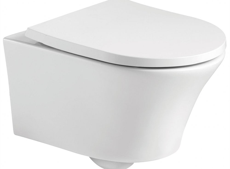 Rimini Rimless Wall-Hung Pan & Soft Close Seat