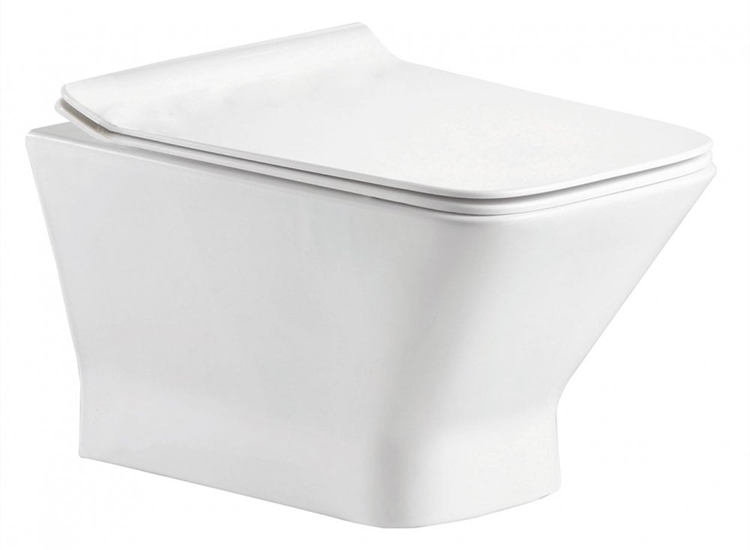 Verona Rimless Wall-Hung Pan & Soft Close Seat