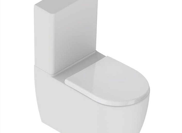 Naxos Rimless WC including Soft Close Seat