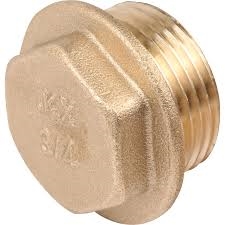 1" Brass Plug